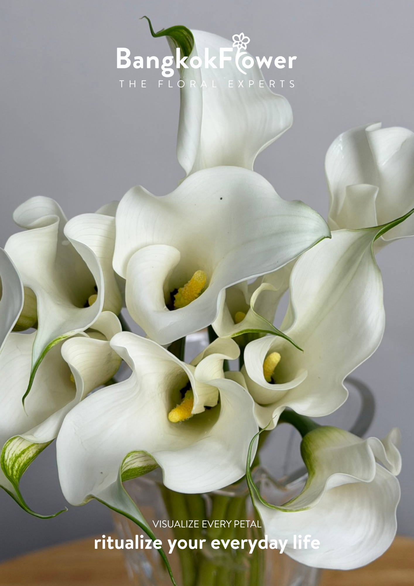 Calla Lily White