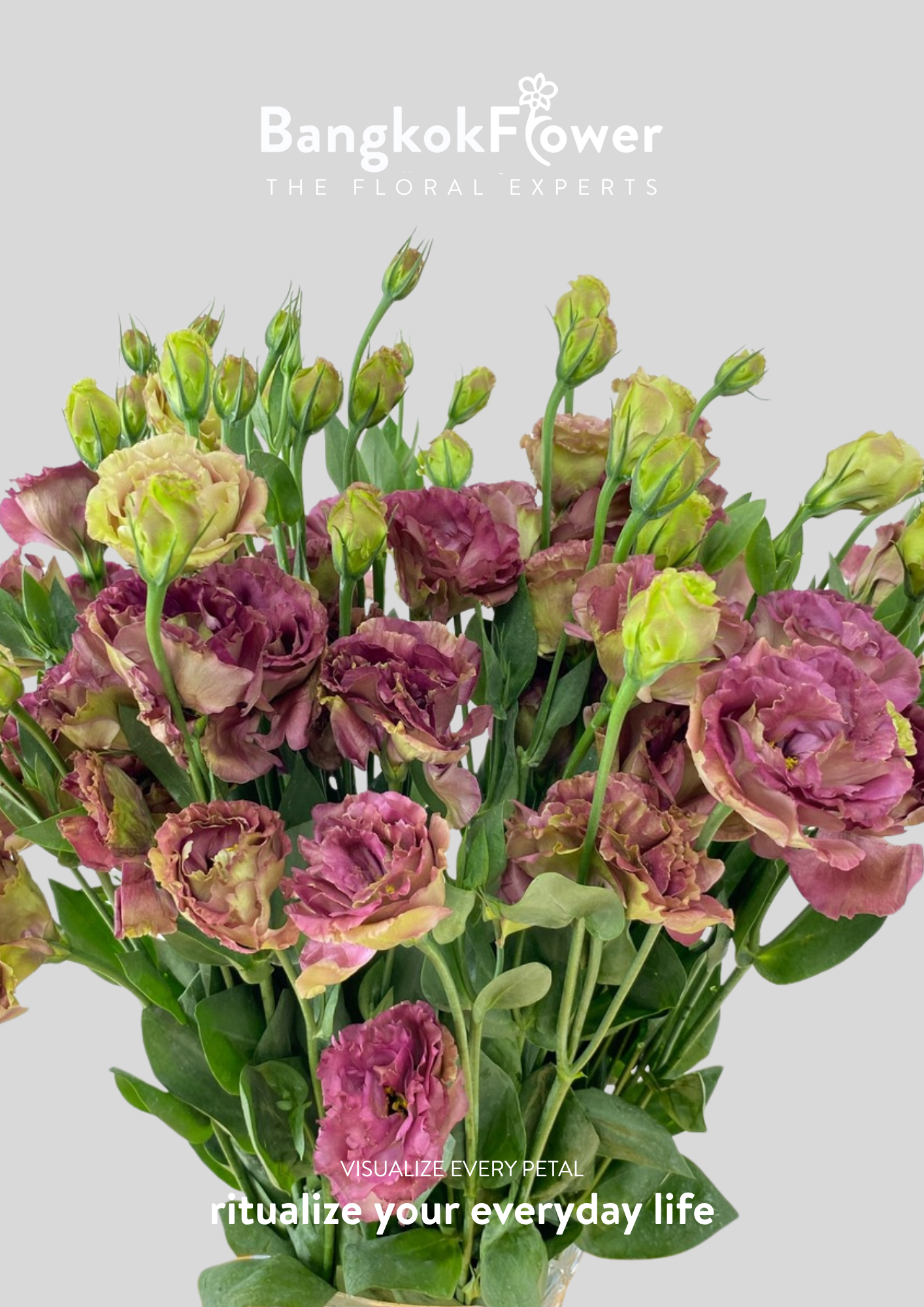 สีชา Eustoma