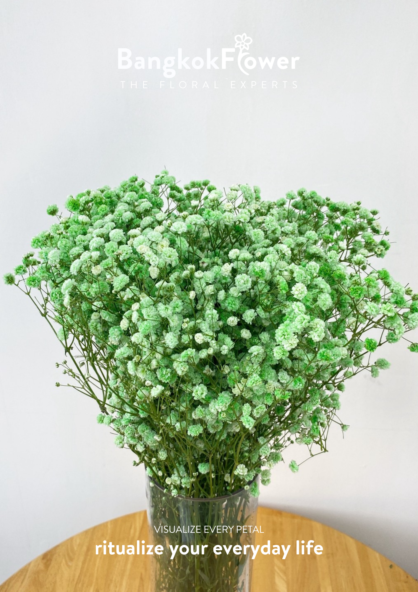 Gypsophila Green