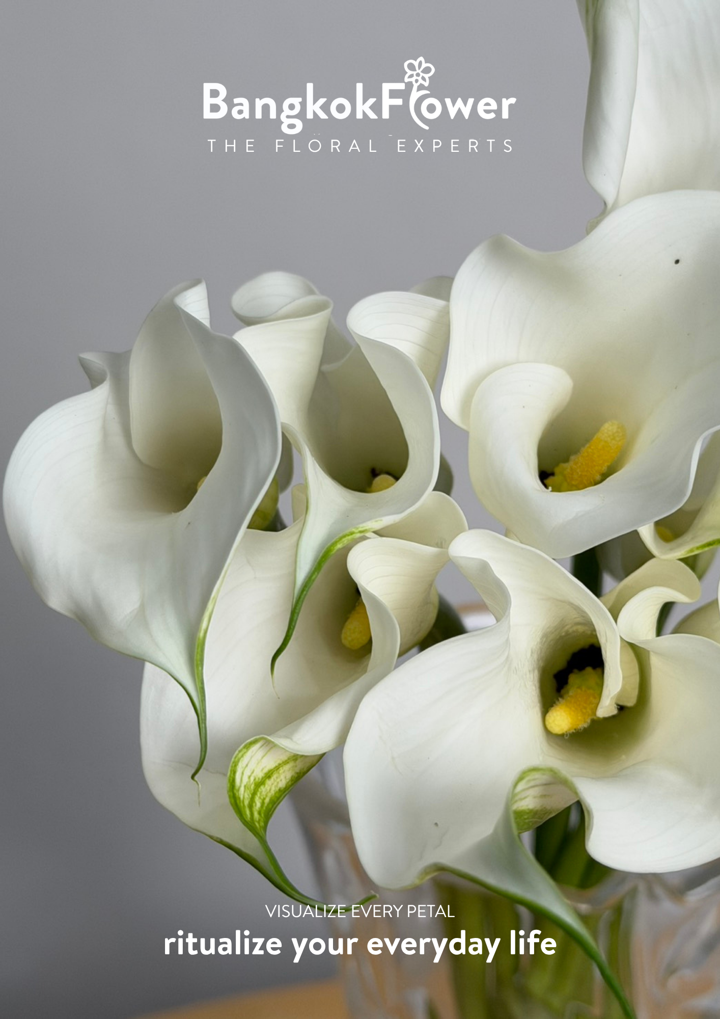 Calla Lily White
