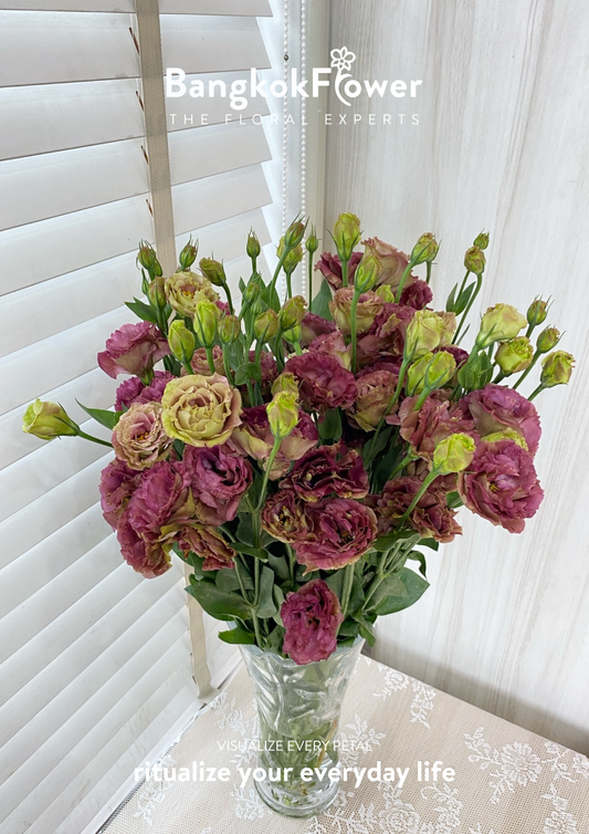 สีชา Eustoma