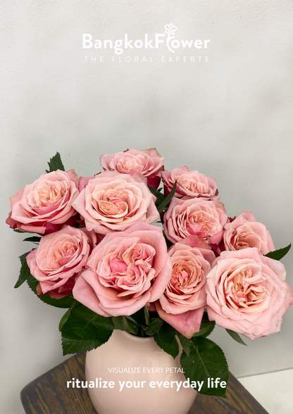 Ladybro Rose