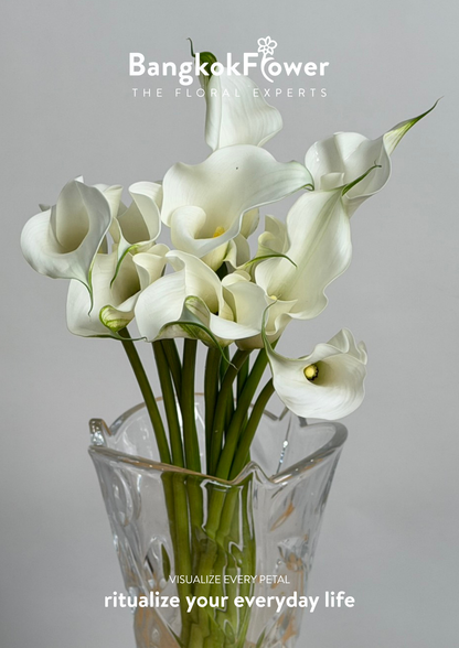 Calla Lily White
