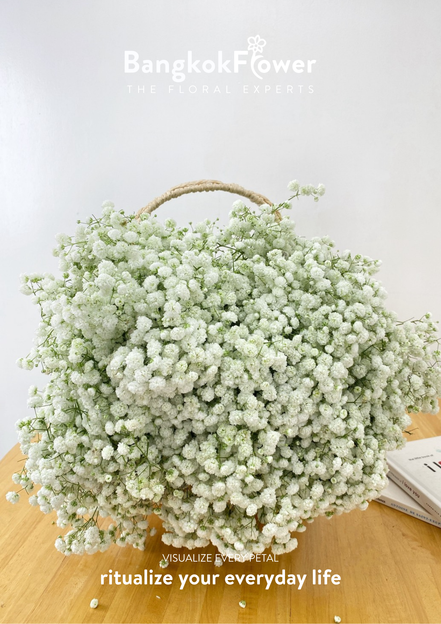 Gypsophila Million Star