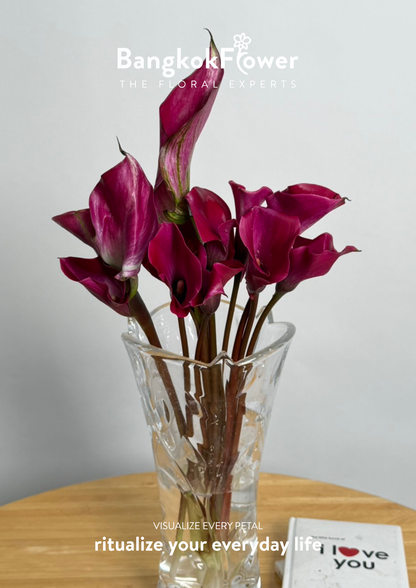 Calla Lily Purple