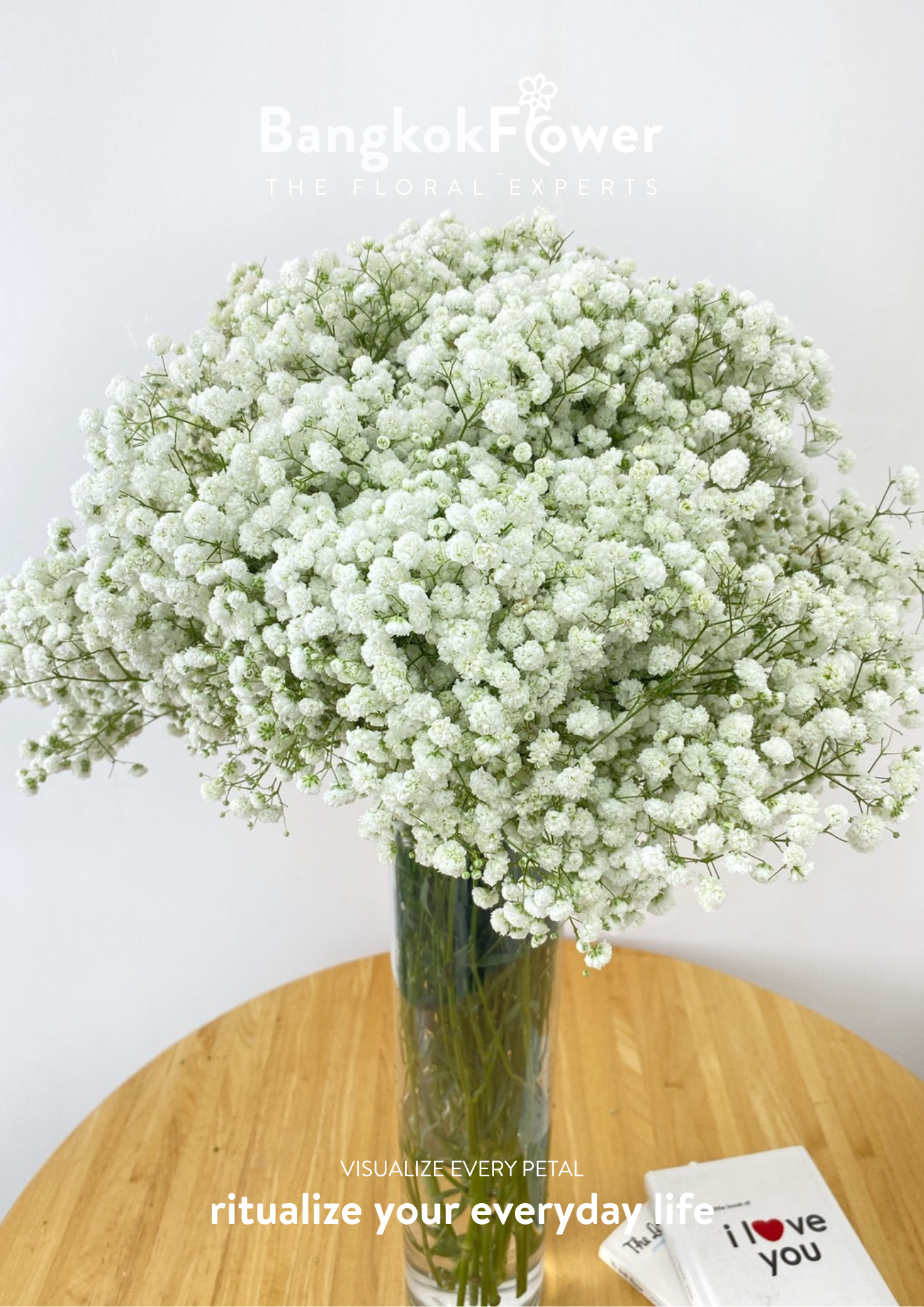 Gypsophila Million Star