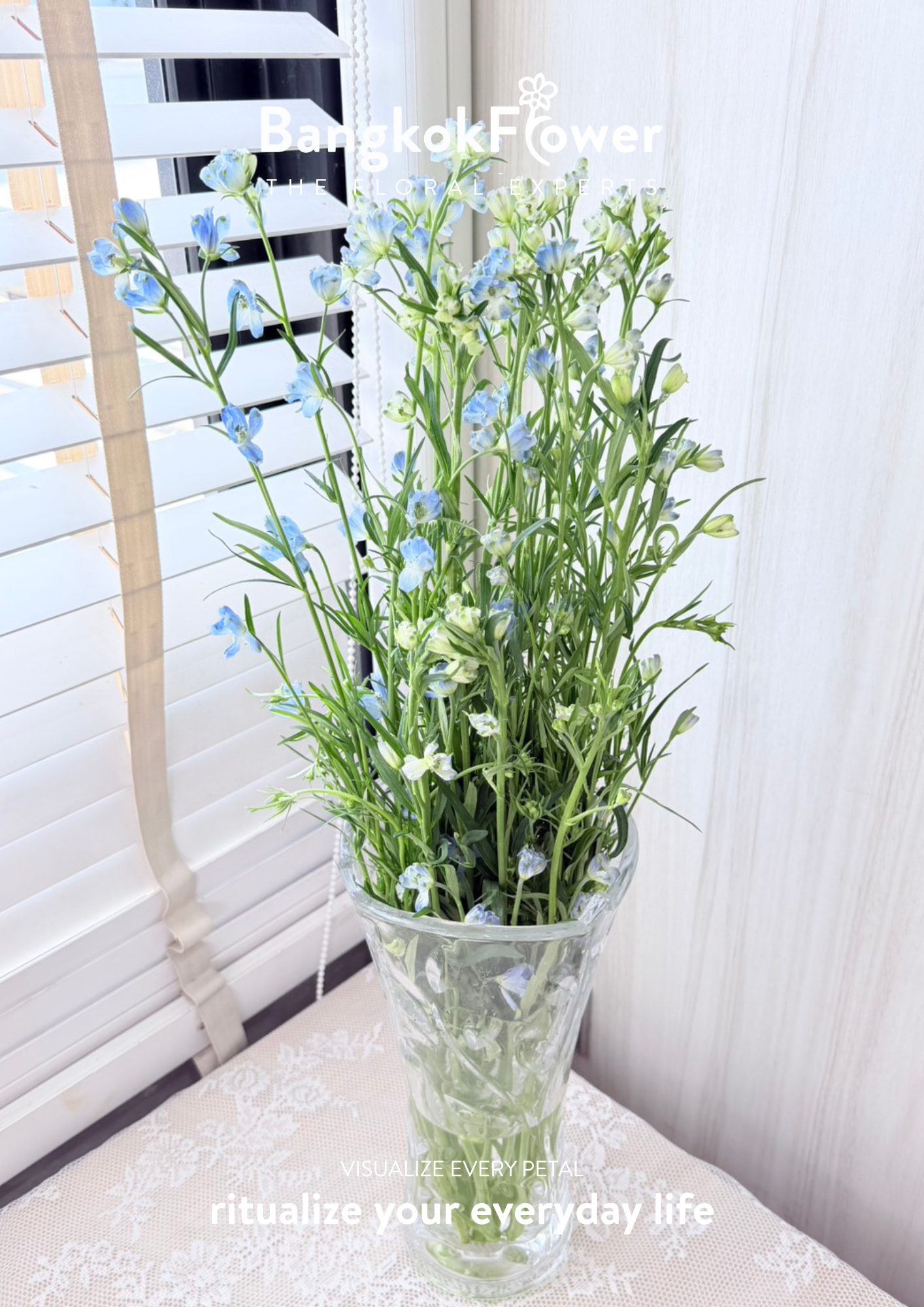 Delphinium