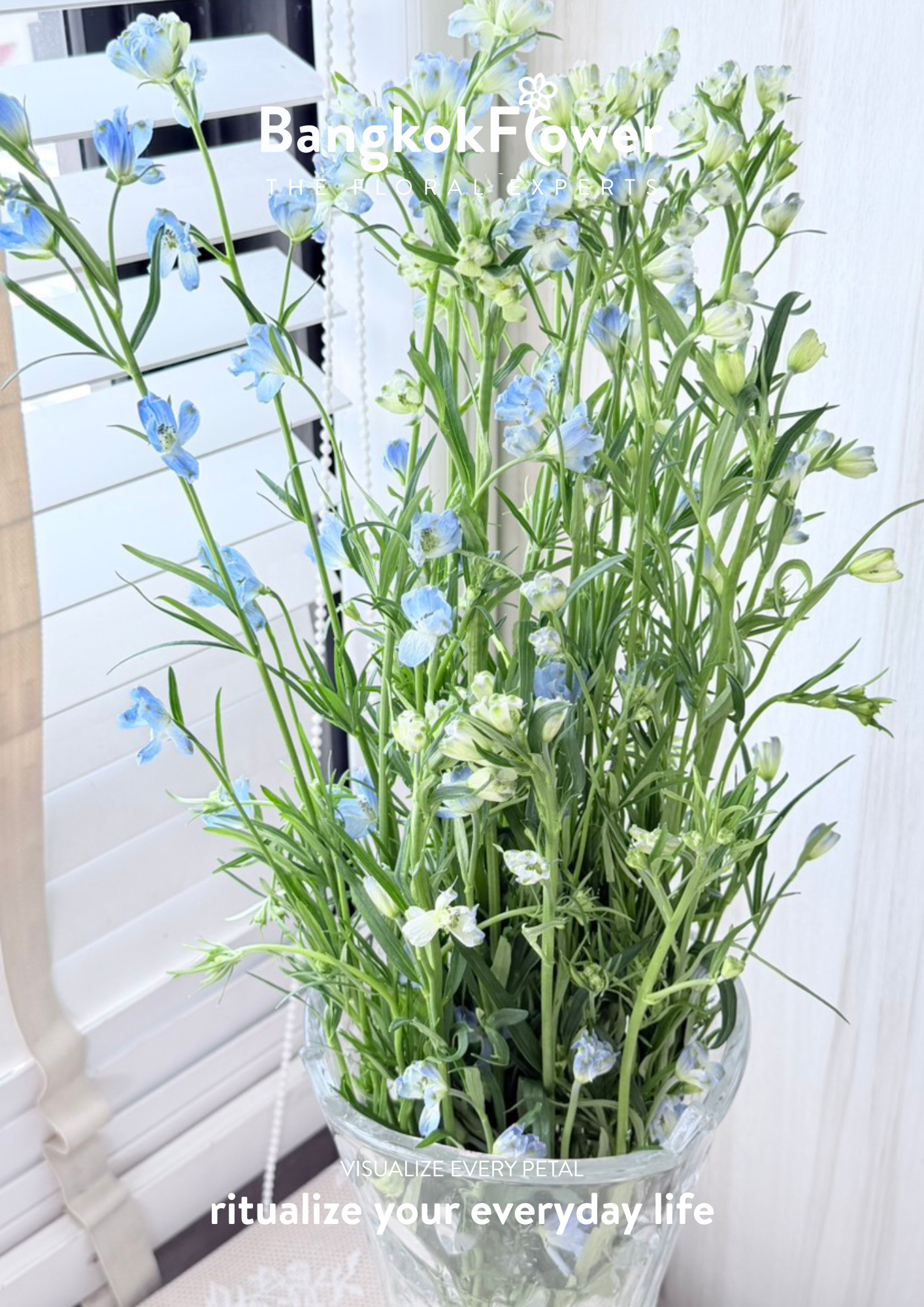 Delphinium