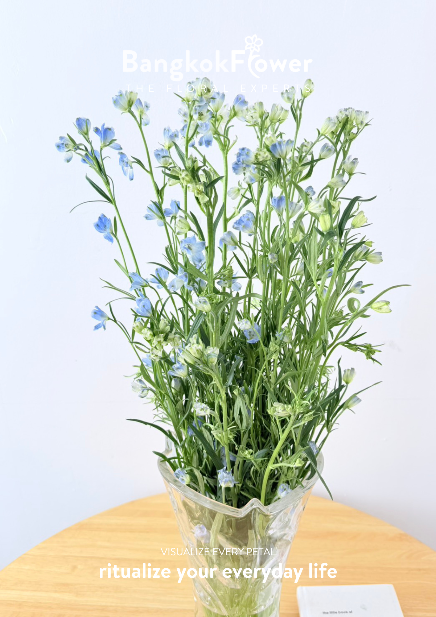 Delphinium