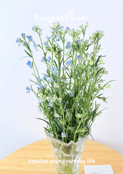 Delphinium