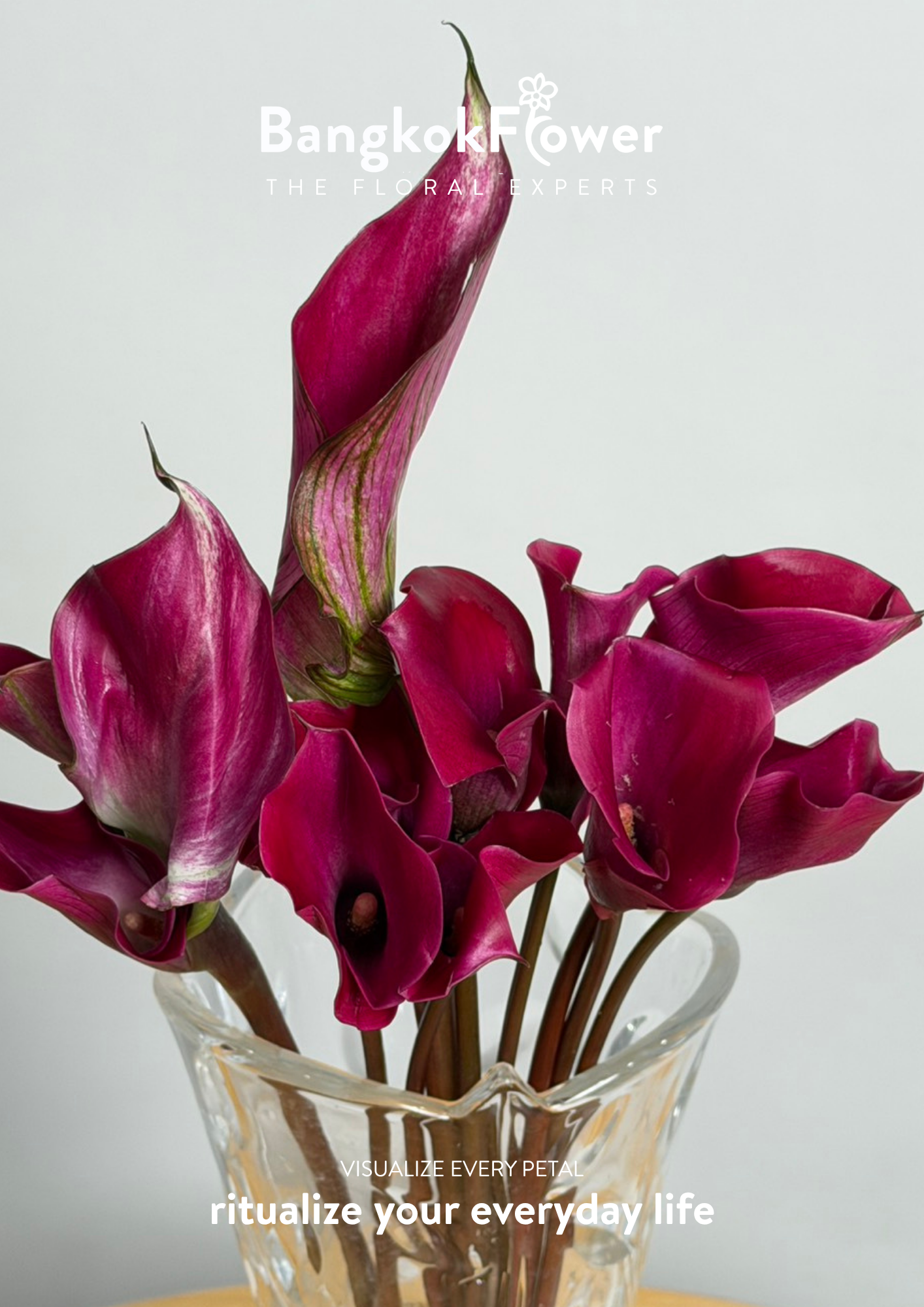 Calla Lily Purple