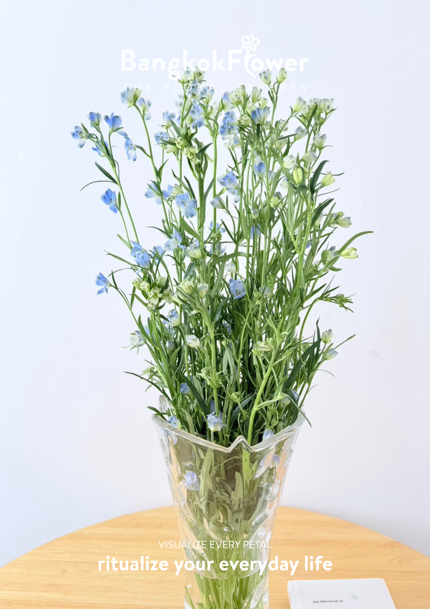 Delphinium