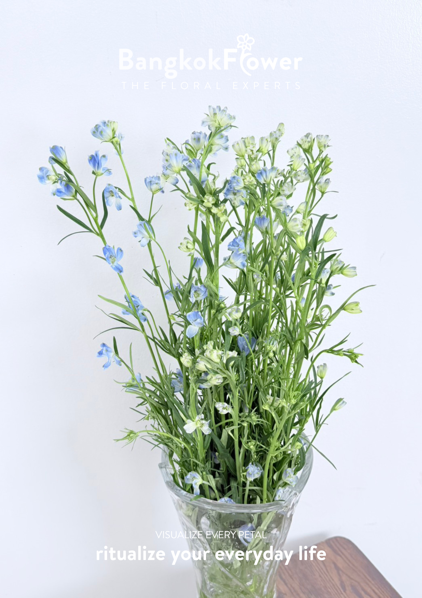 Delphinium