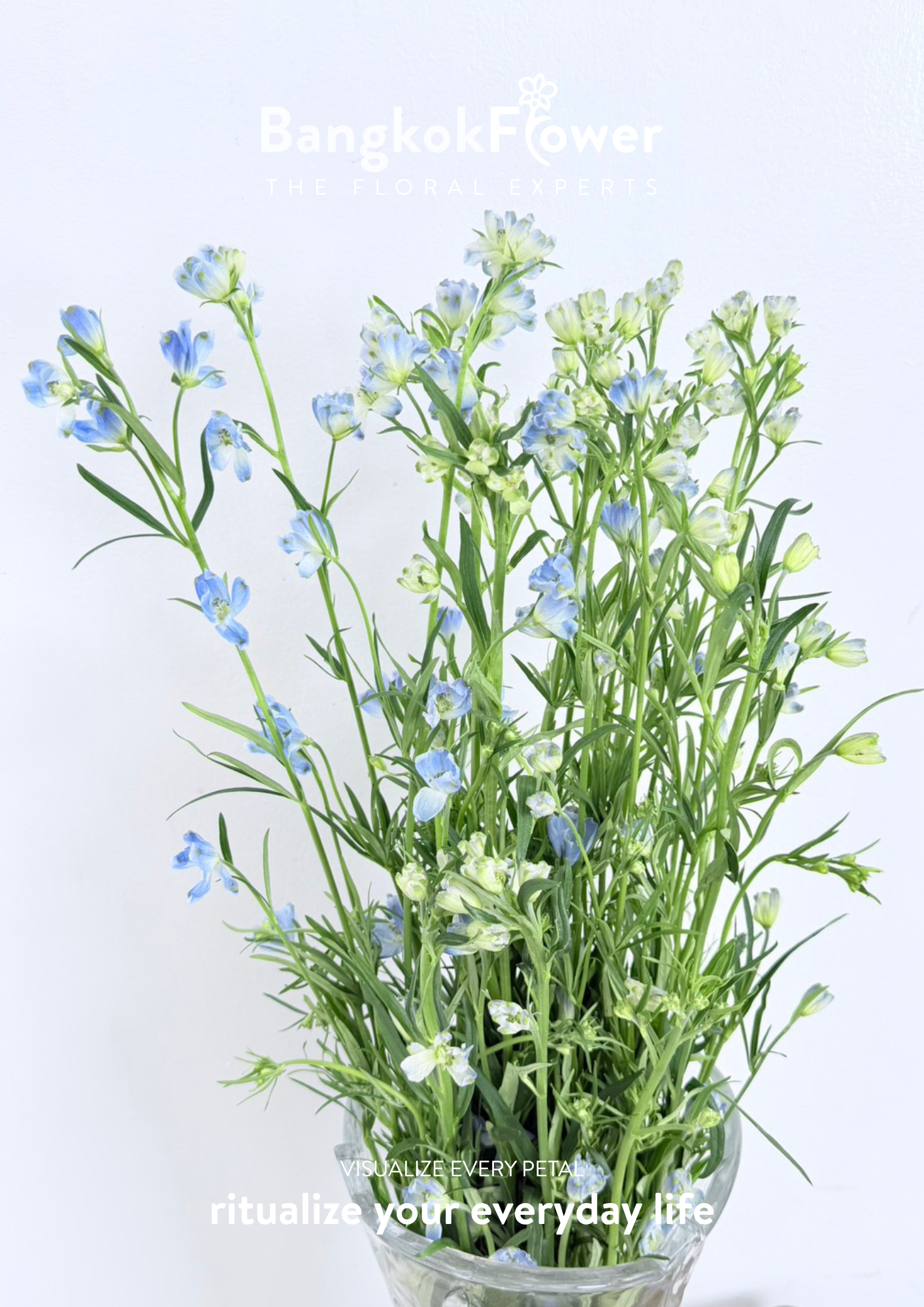 Delphinium