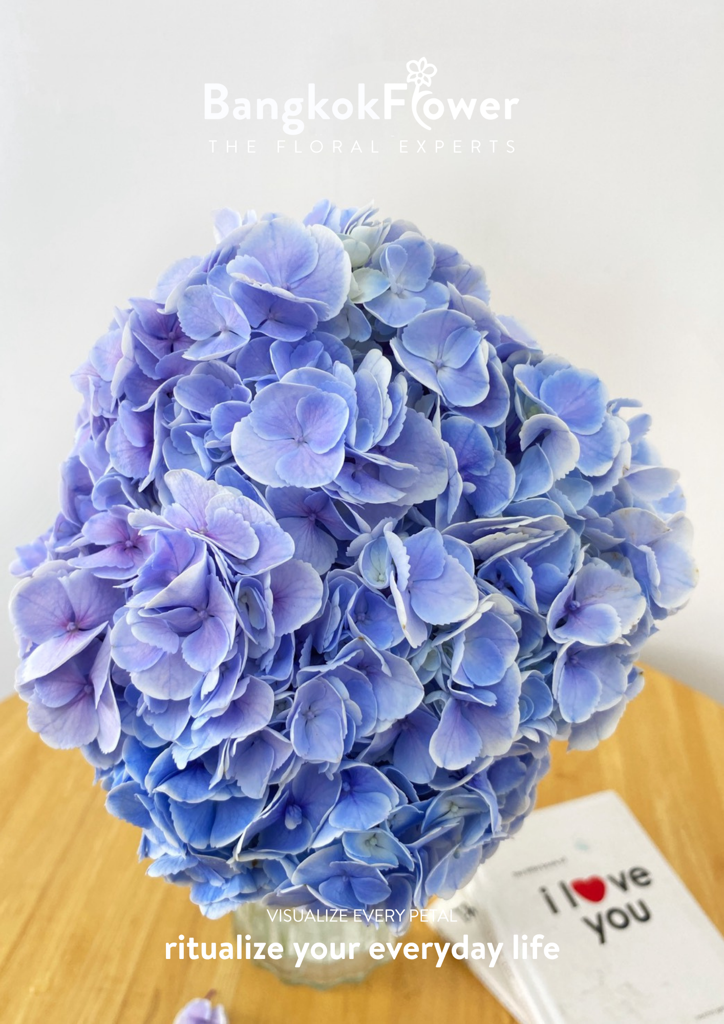 ไฮเดรนเจียสีฟ้า