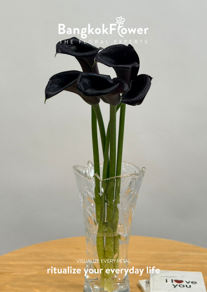 Calla Lily Black