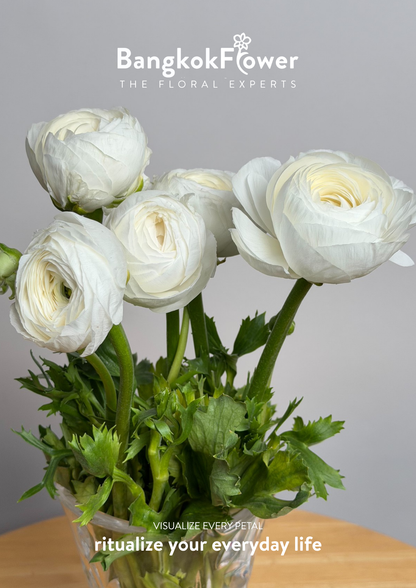 Ranunculus white