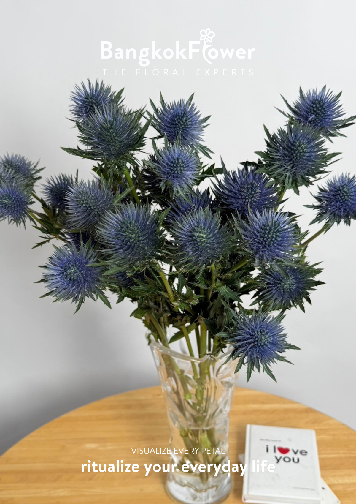 Eryngium