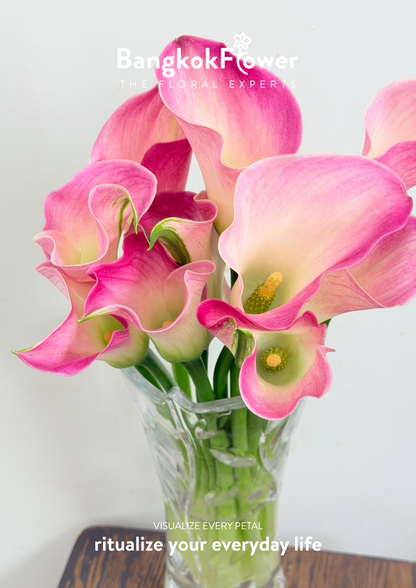 Calla Lily Light Pink