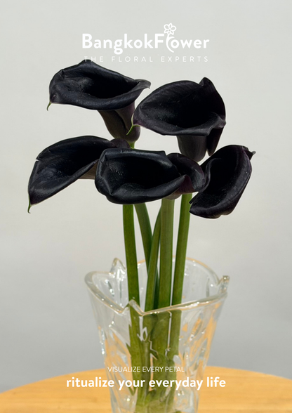 Calla Lily Black