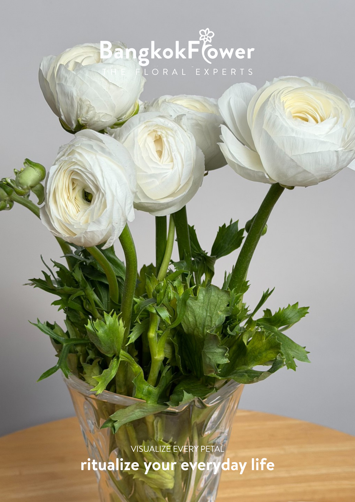 Ranunculus white