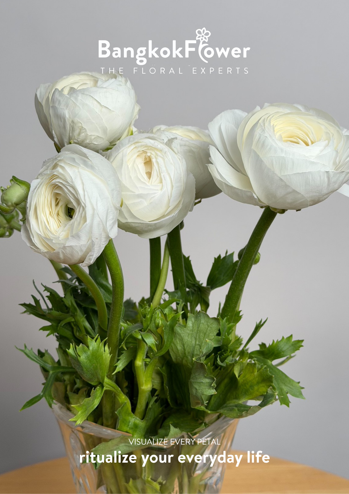 Ranunculus white