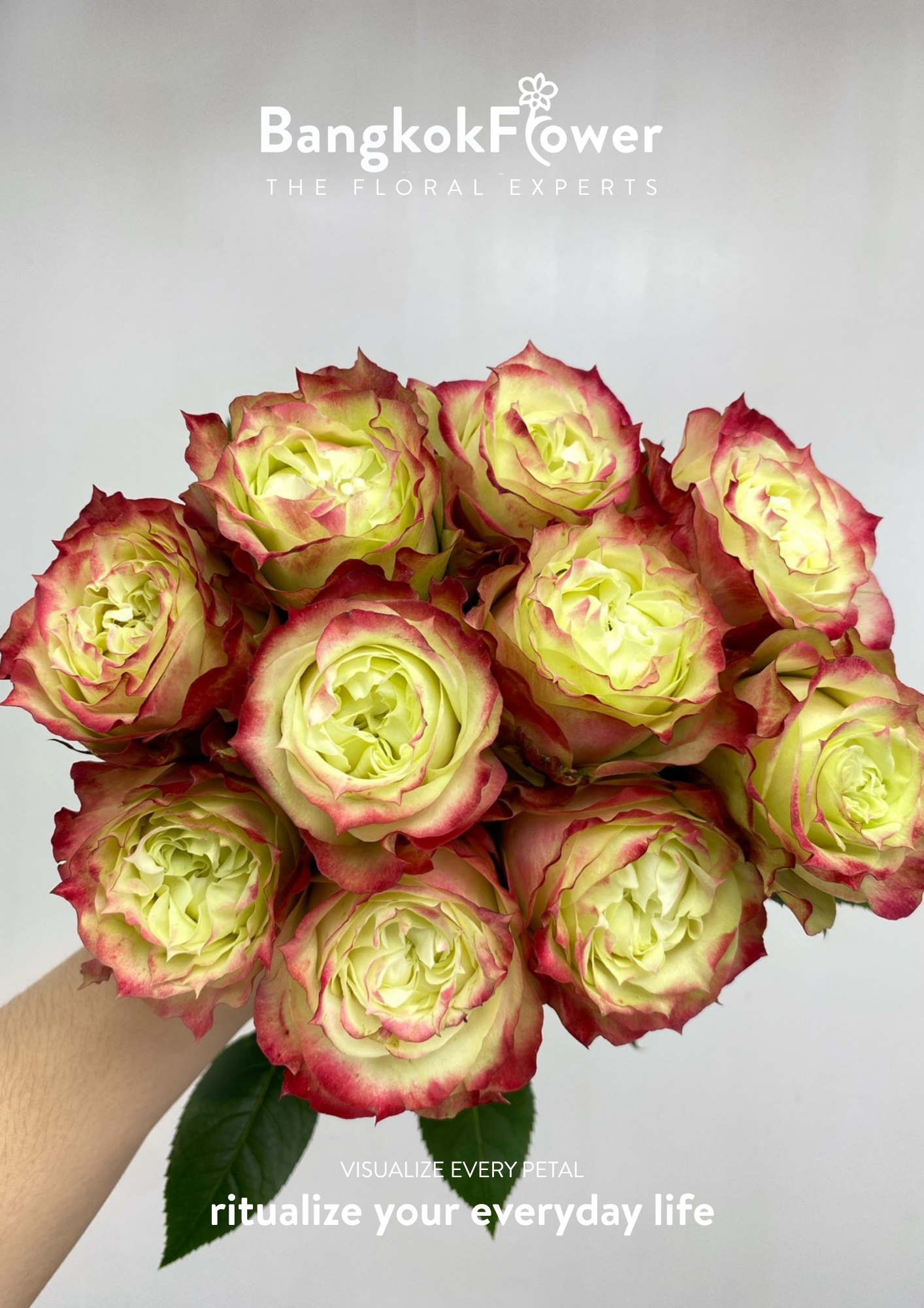 Greenapplejam Rose