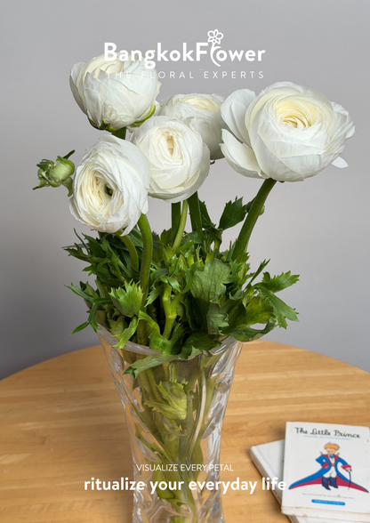 Ranunculus white