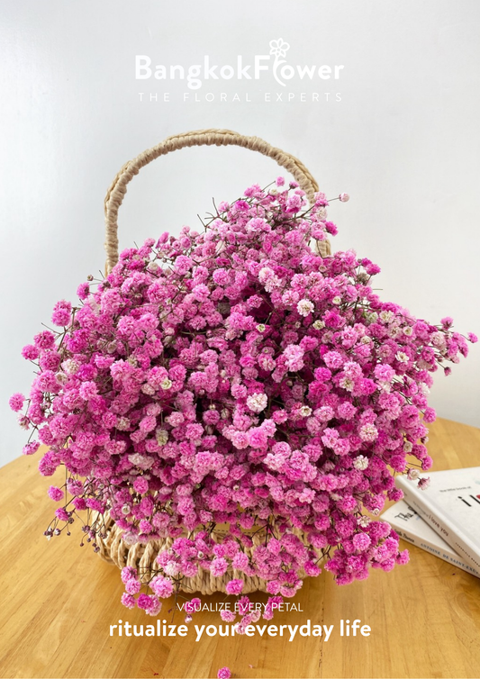 ดอกยิปโซสีชมพู