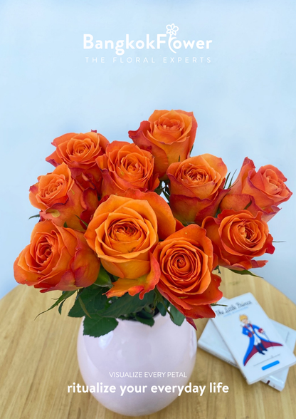 King’s Day Rose