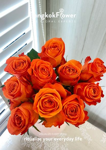 King’s Day Rose