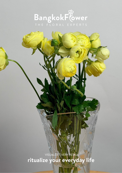 Ranunculus yellow