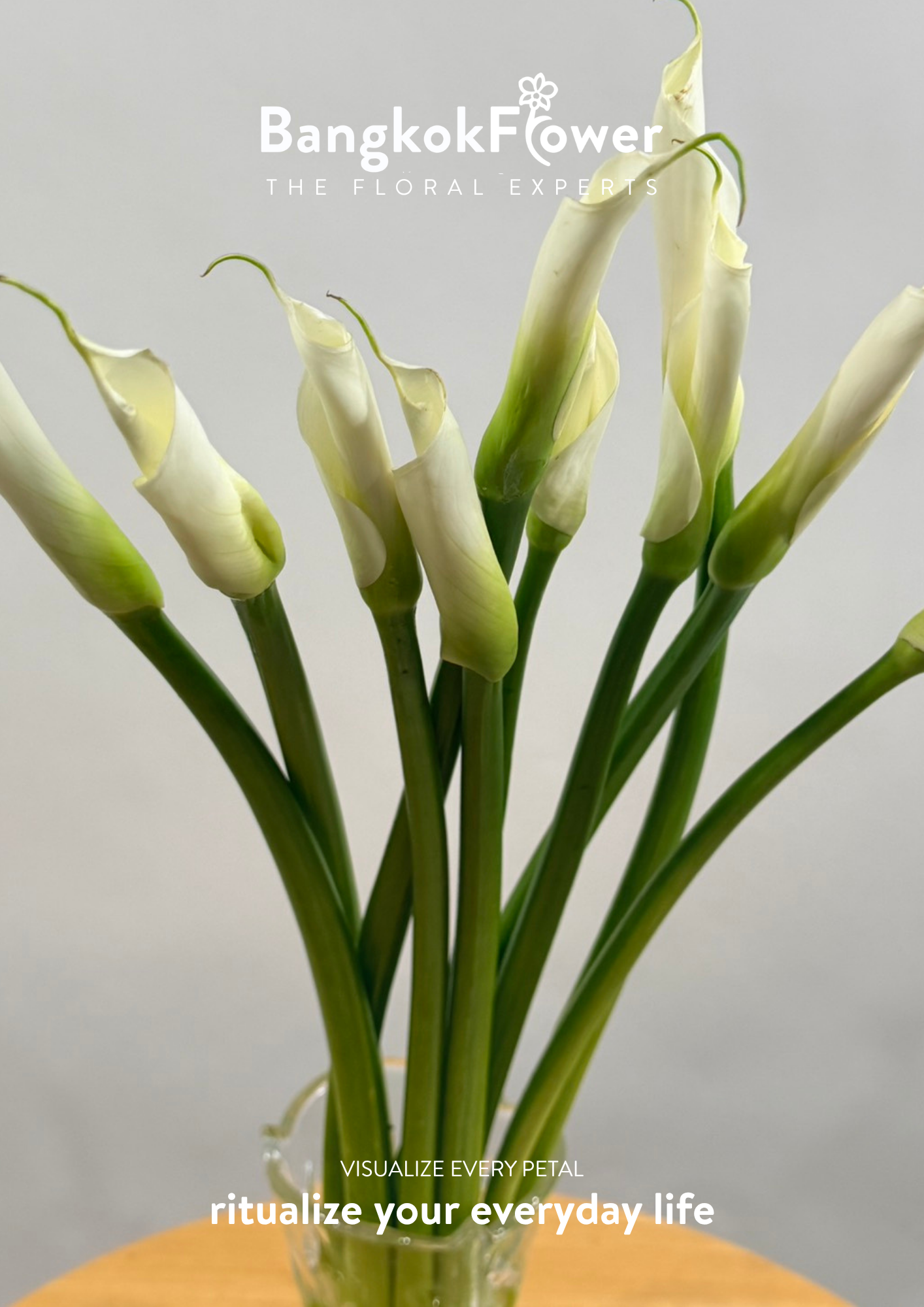 Long Stem Calla Lily White