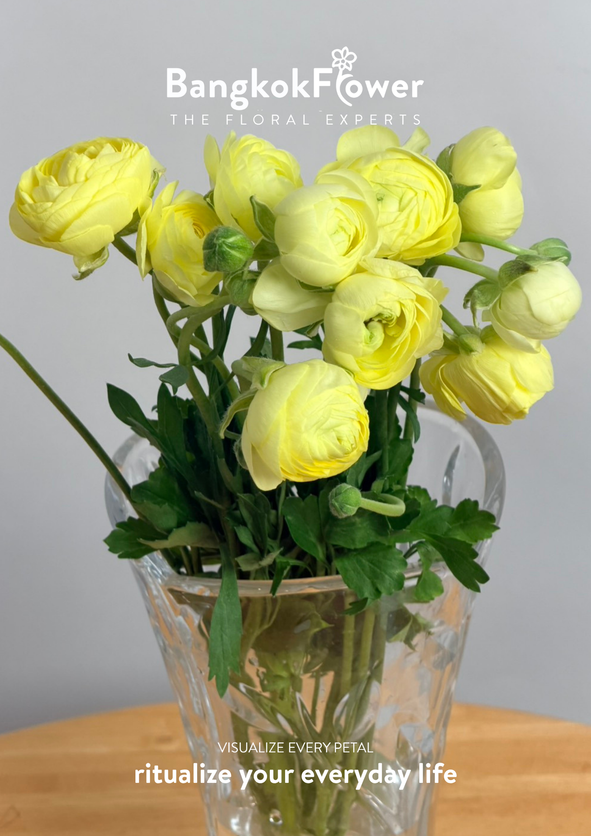 Ranunculus yellow