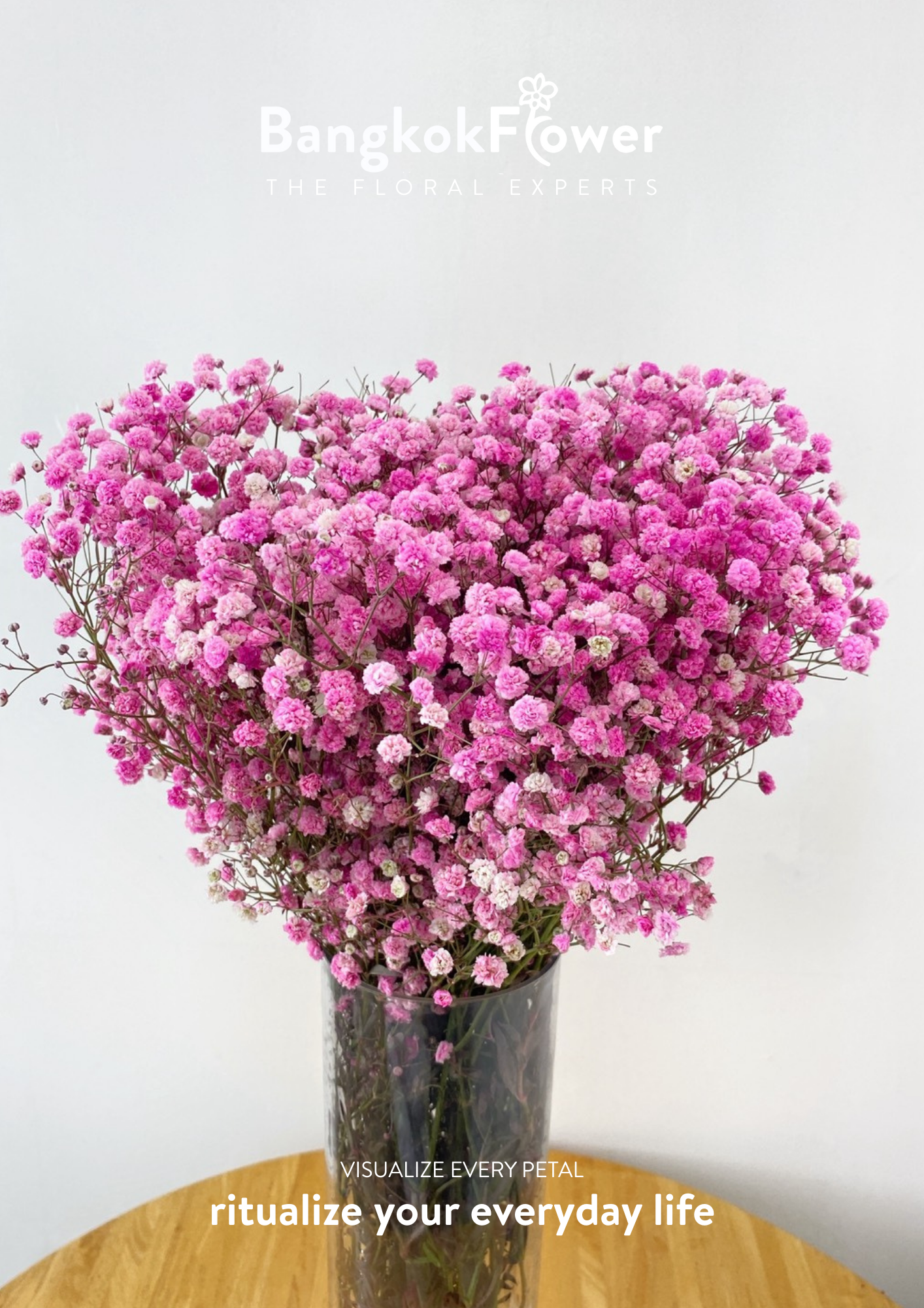 Gypsophila Pink