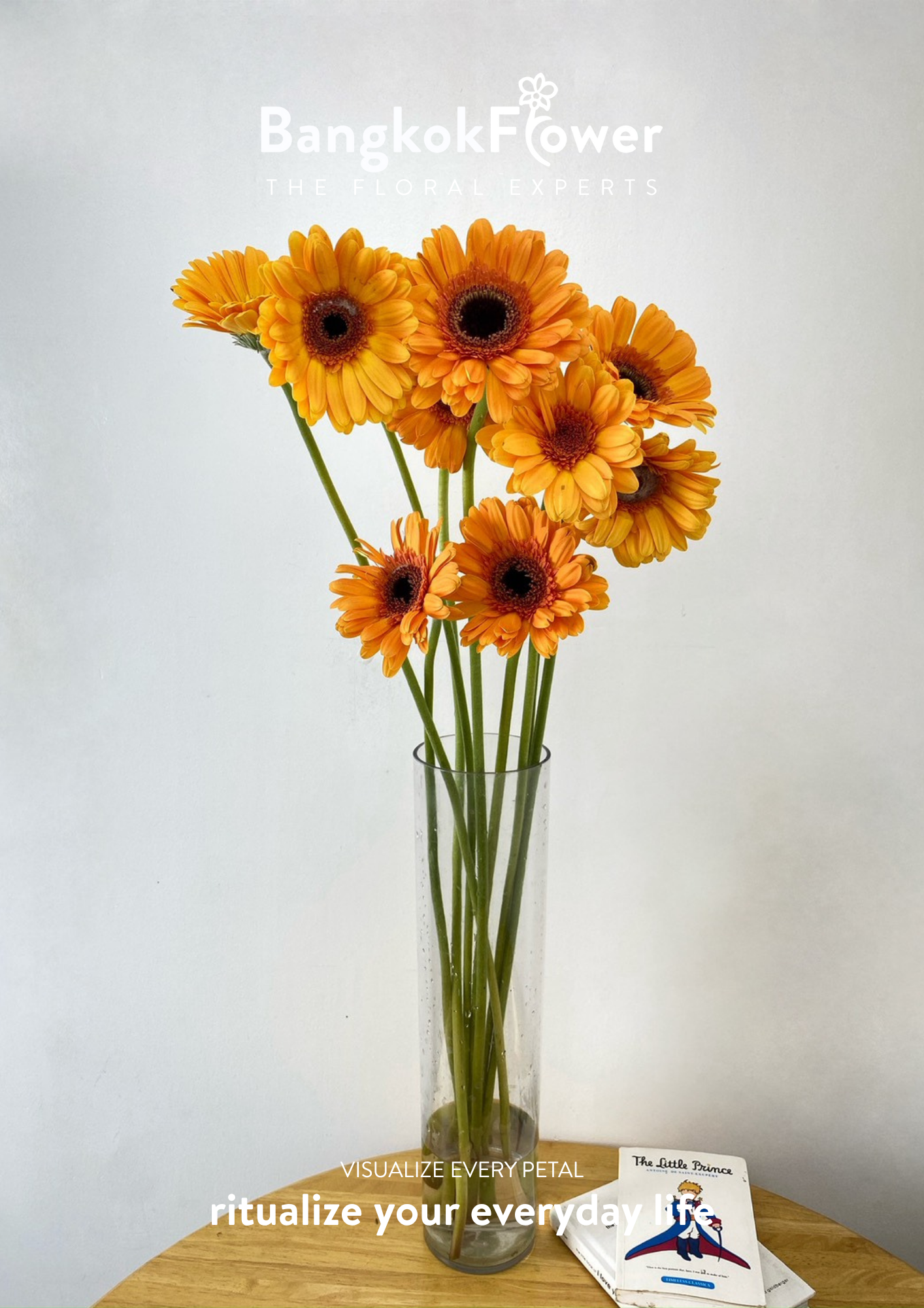Orange Gerbera