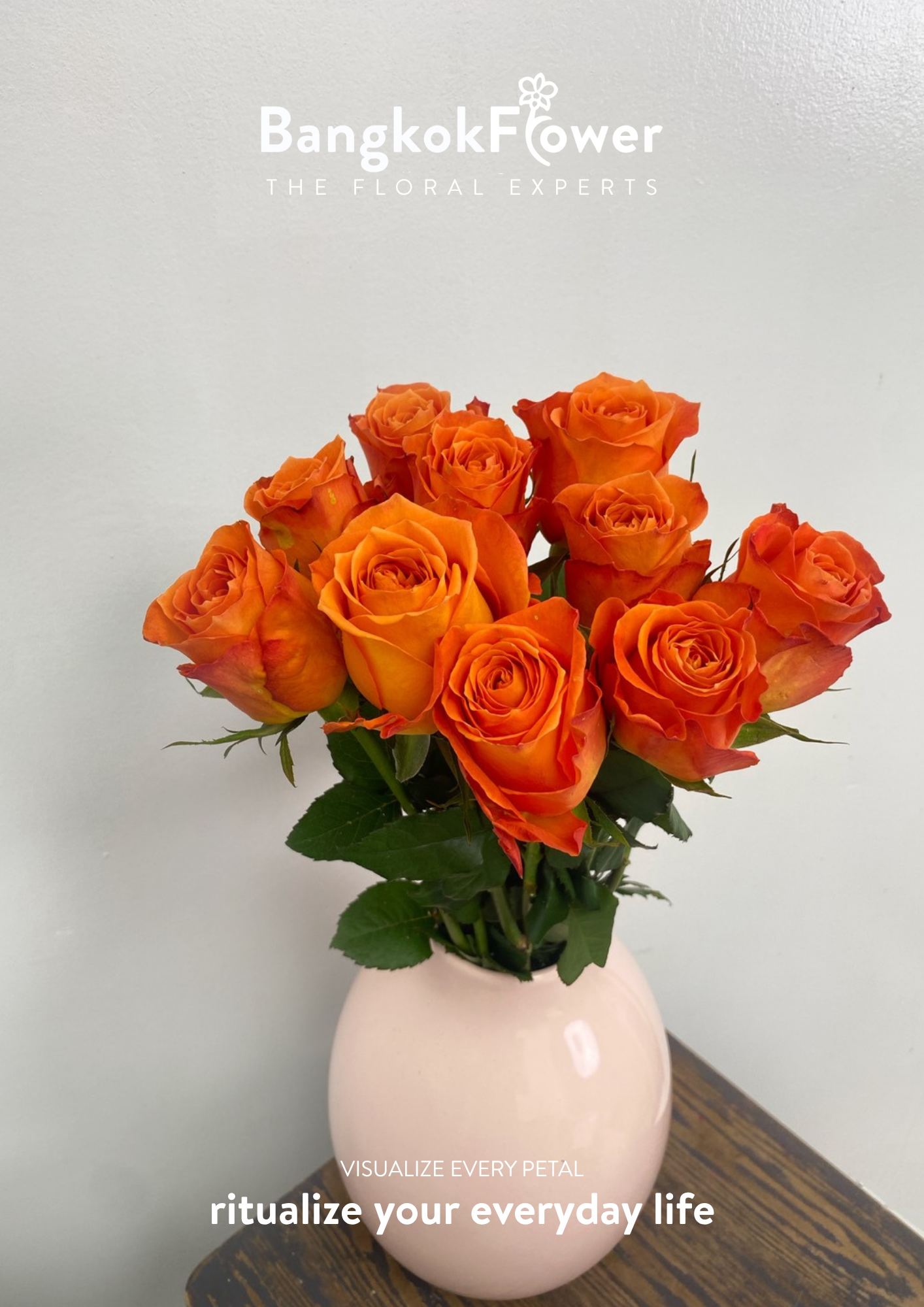 King’s Day Rose