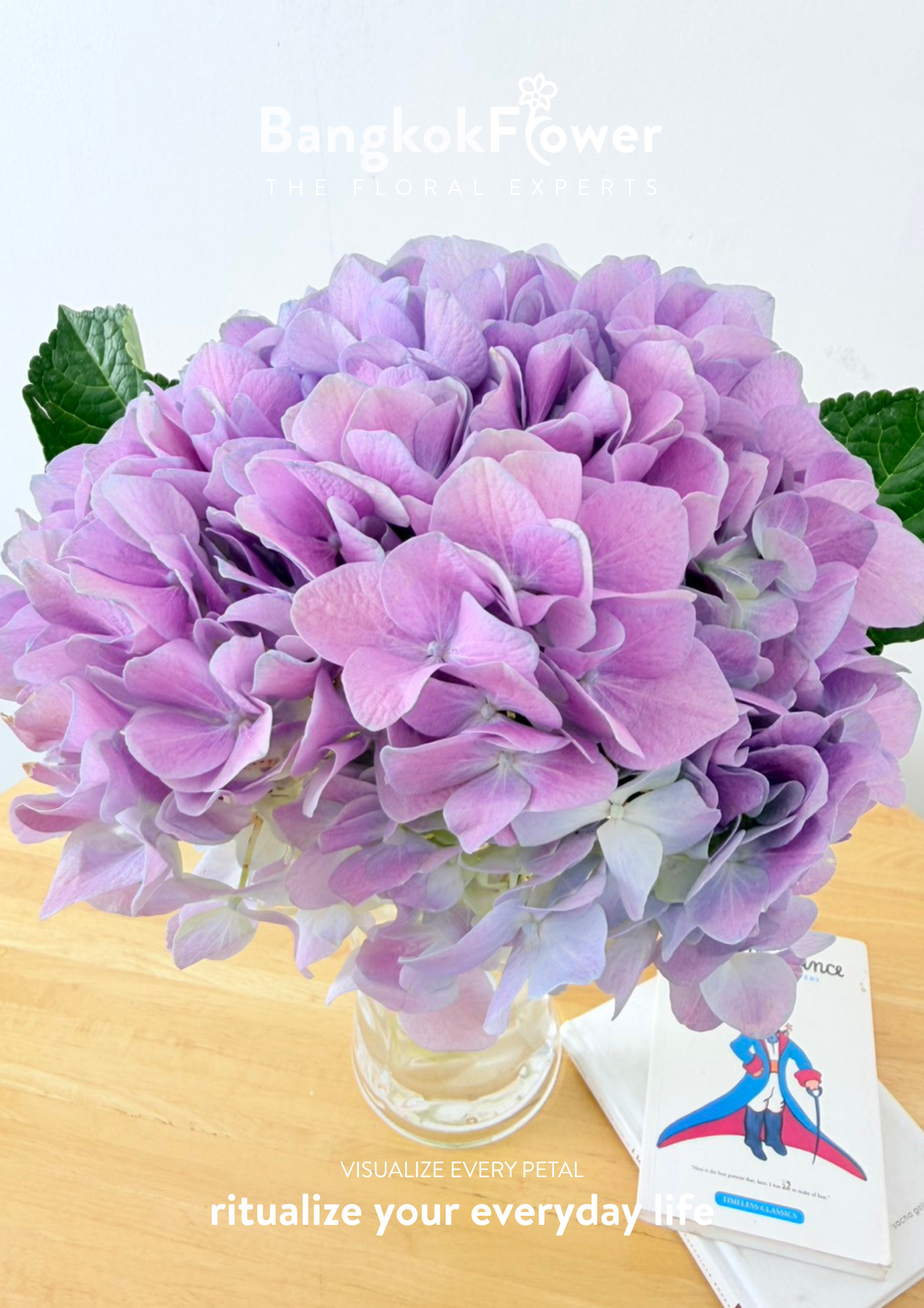 ไฮเดรนเจียสีม่วง