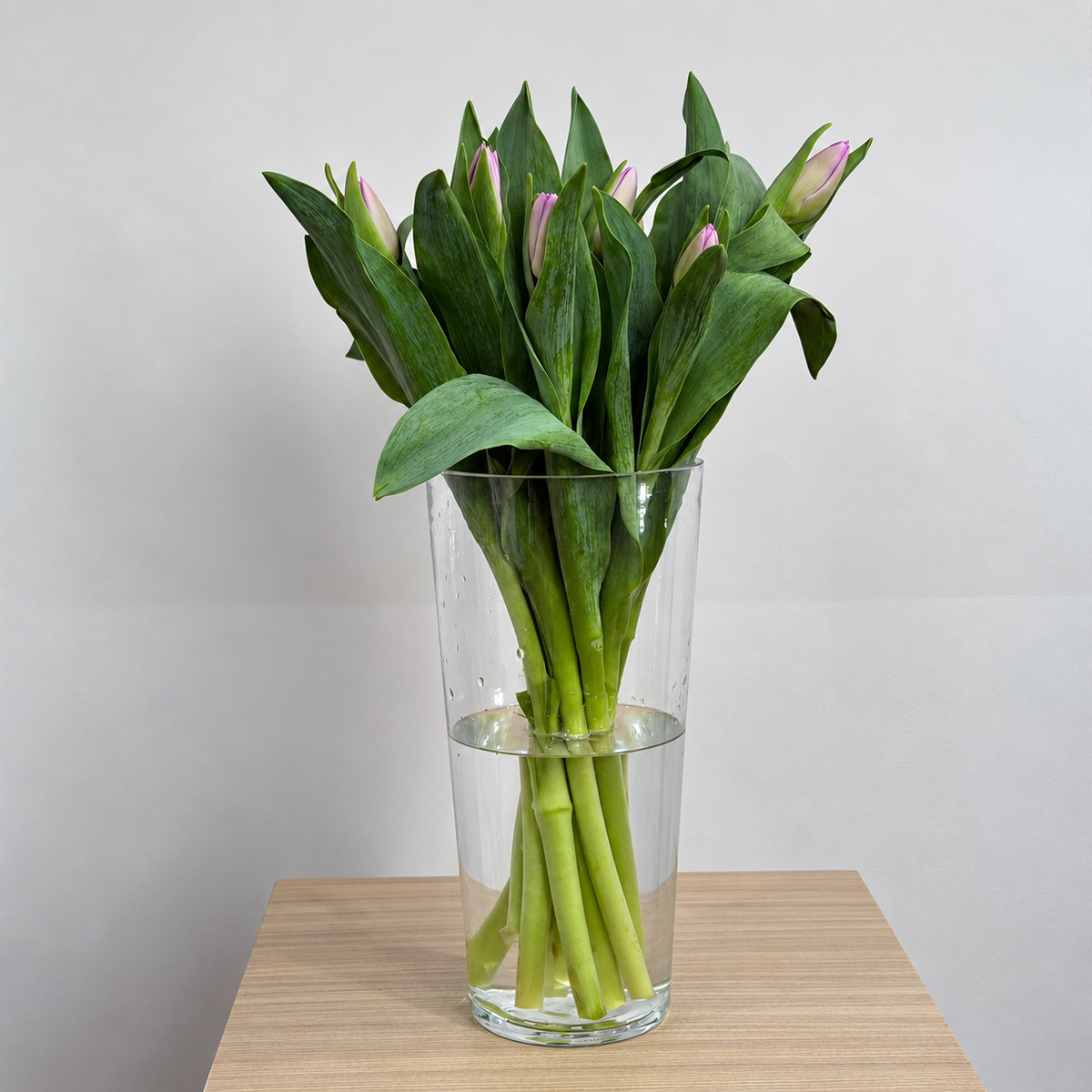 Tulip purple bouquet