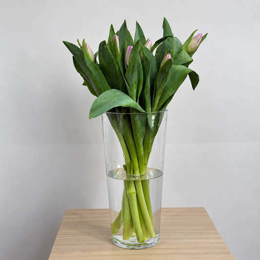Tulip purple bouquet