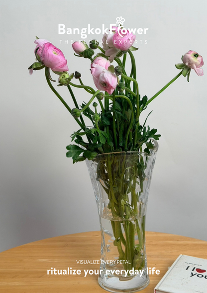 Ranunculus pink