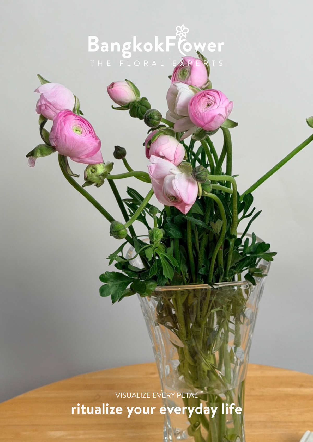 Ranunculus pink