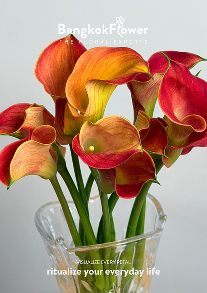 Calla Lily Orange