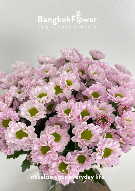 Rossi Pink