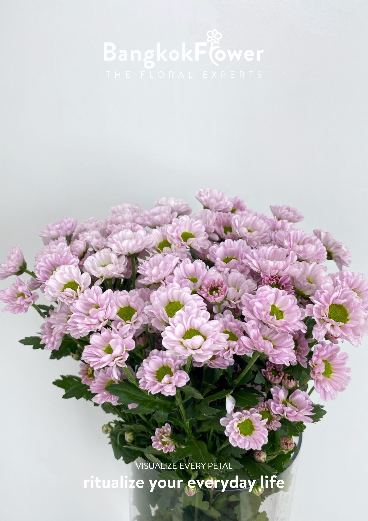 Rossi Pink