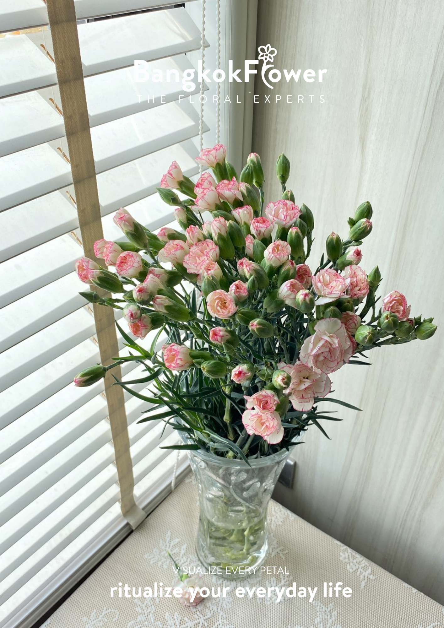 สเปรย์ดอกคาร์เนชั่น – สีขาวชมพู
