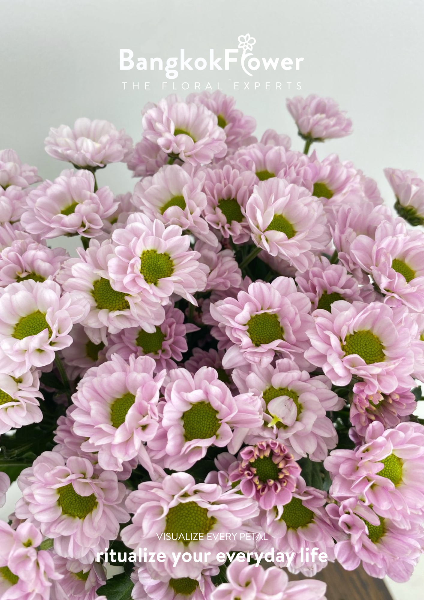 Rossi Pink