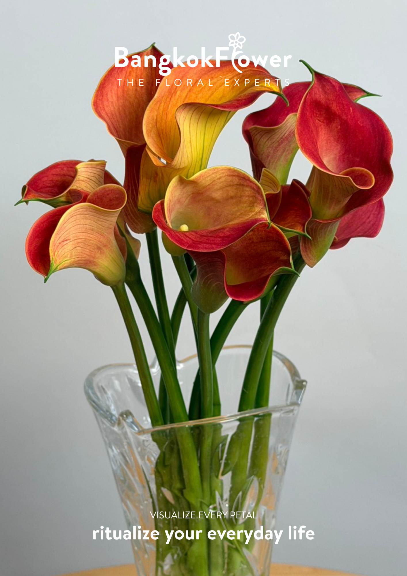 Calla Lily Orange