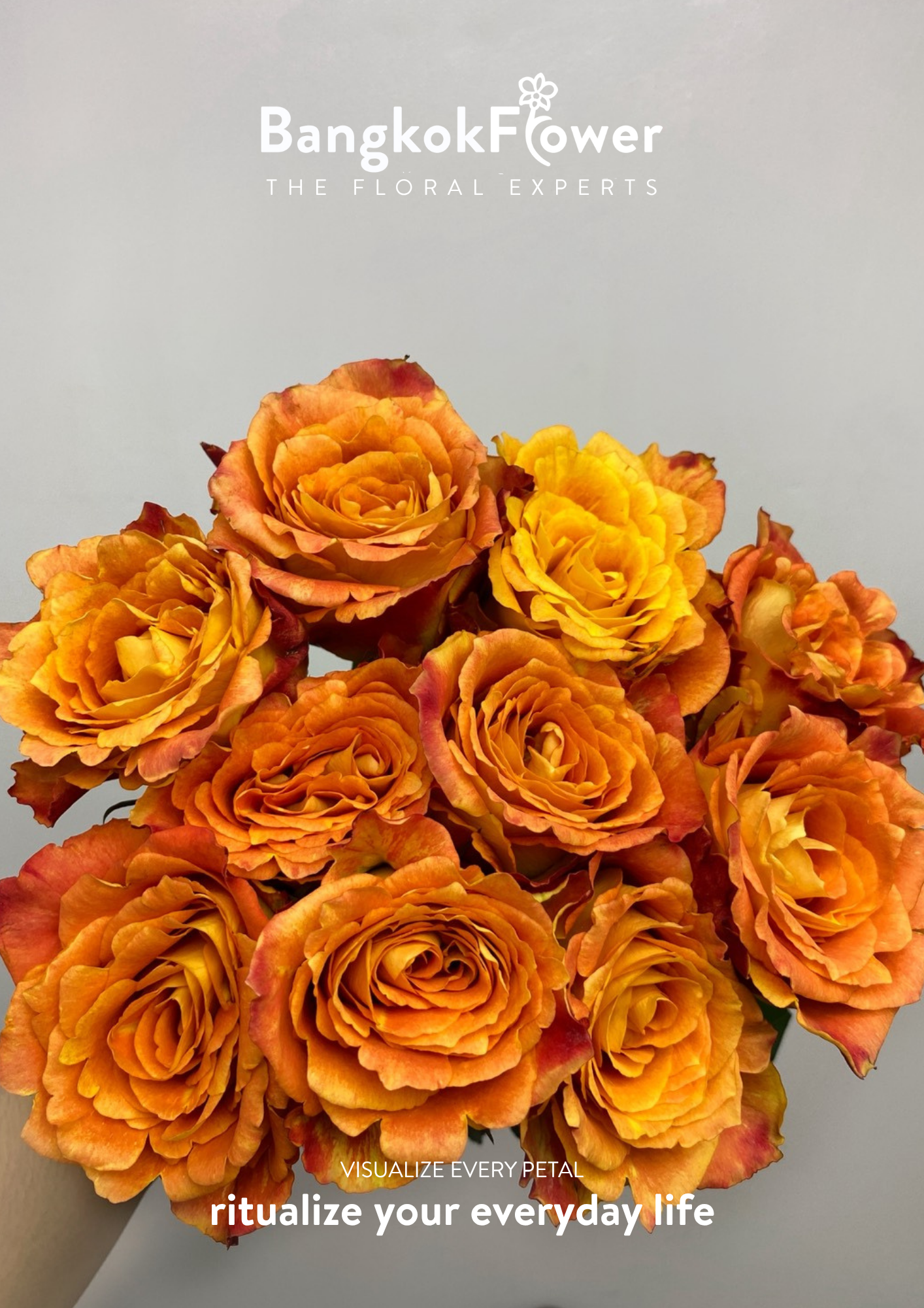 Ode to Joy Rose