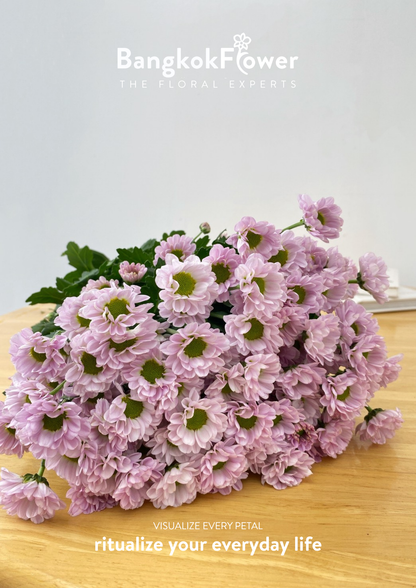 Rossi Pink